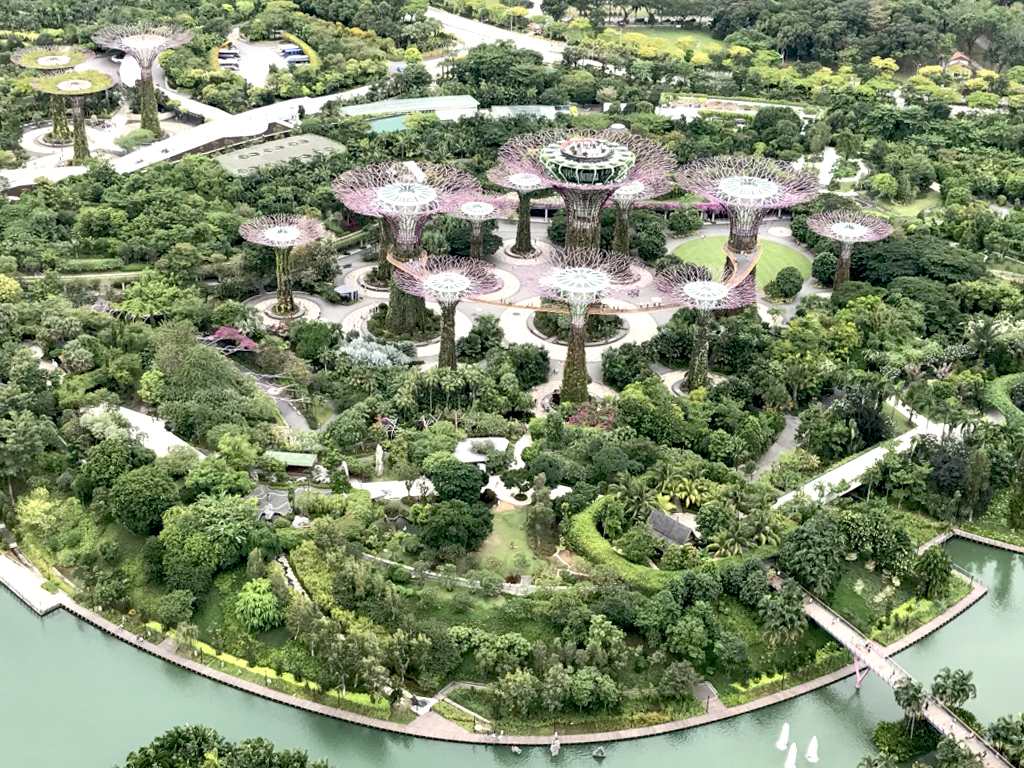 gardens-by-the-bay-singapore