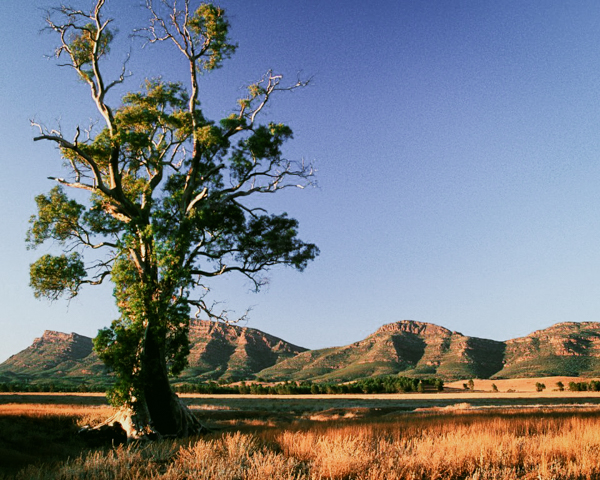 Wilpena Pound St Mary Peak Circuit, South Australia