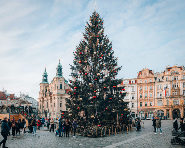 A towering Christmas tree lights up the city square, creating a festive atmosphere for holiday celebrations.