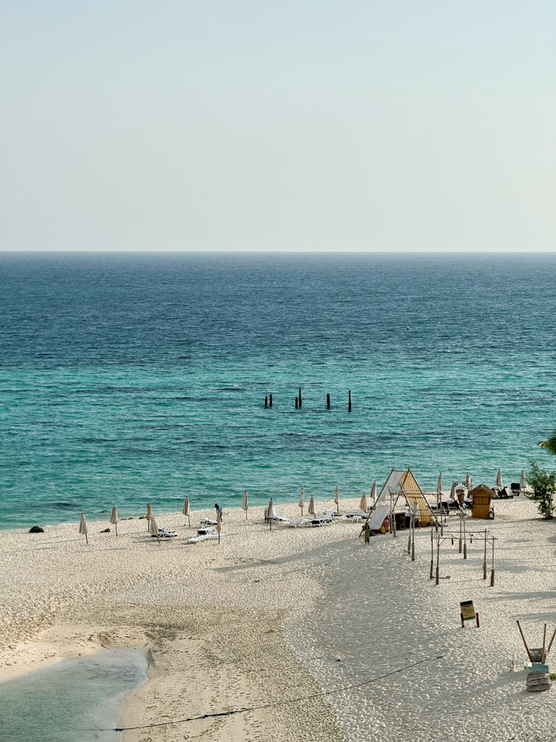 Cherry blossoms in full bloom in Seoul during springtime.
