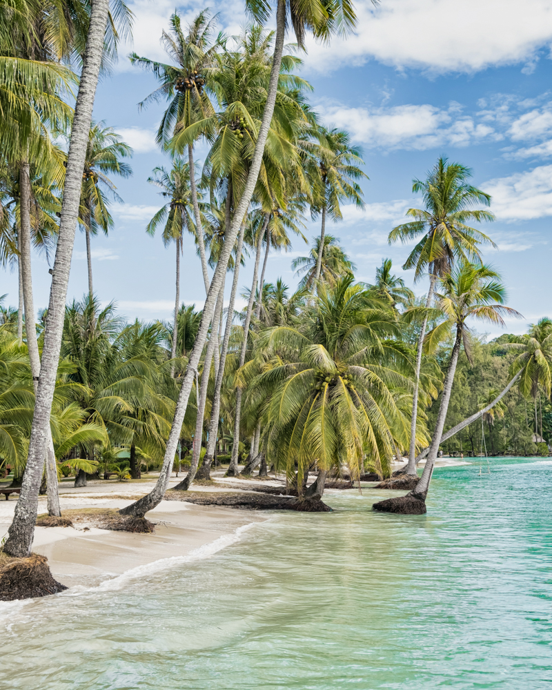 Crystal-clear coastal waters of Jeju Island, South Korea.