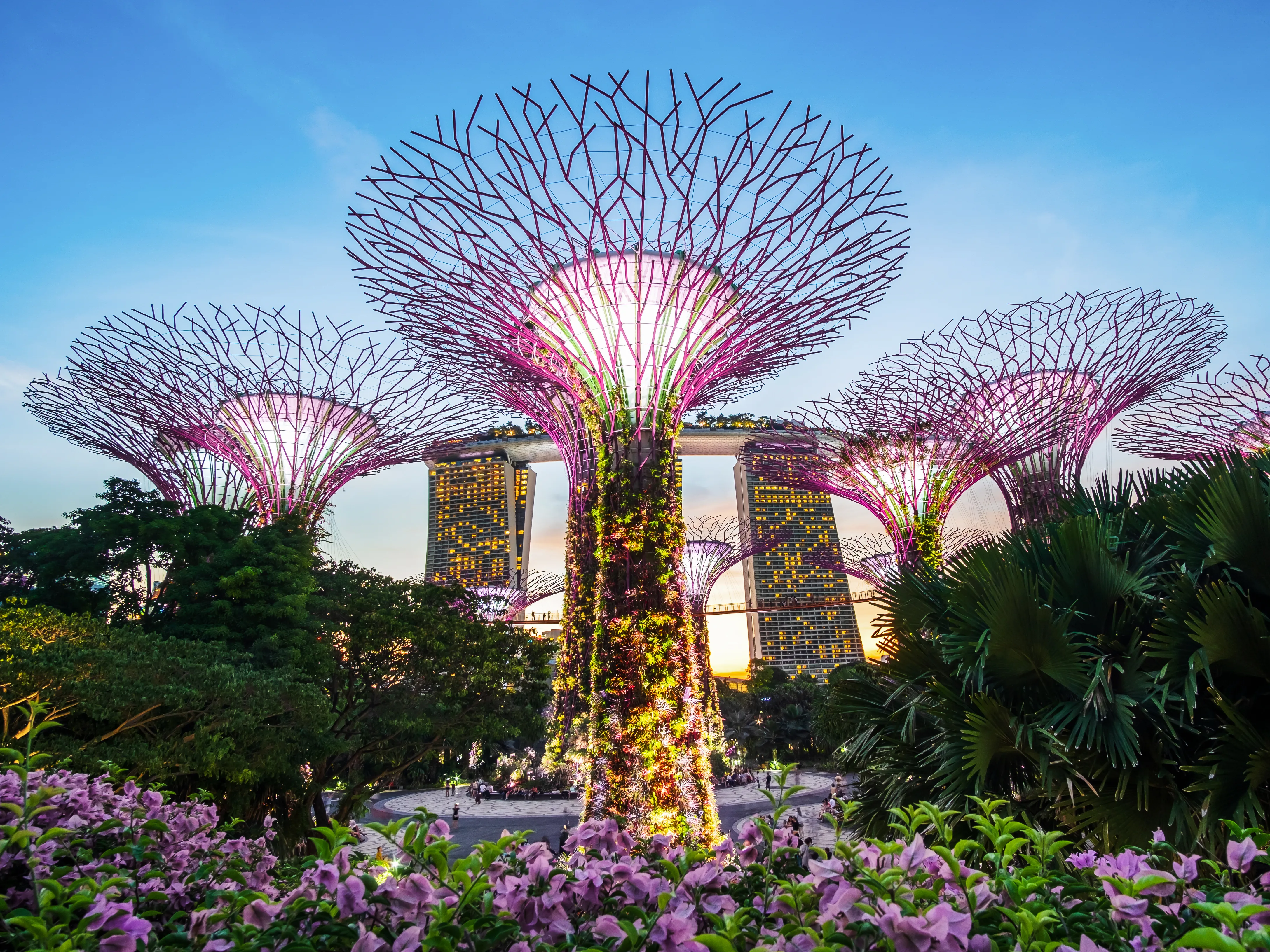 Supertree Grove at Gardens by the Bay in Singapore lit up at twilight, with Marina Bay Sands visible in the background.