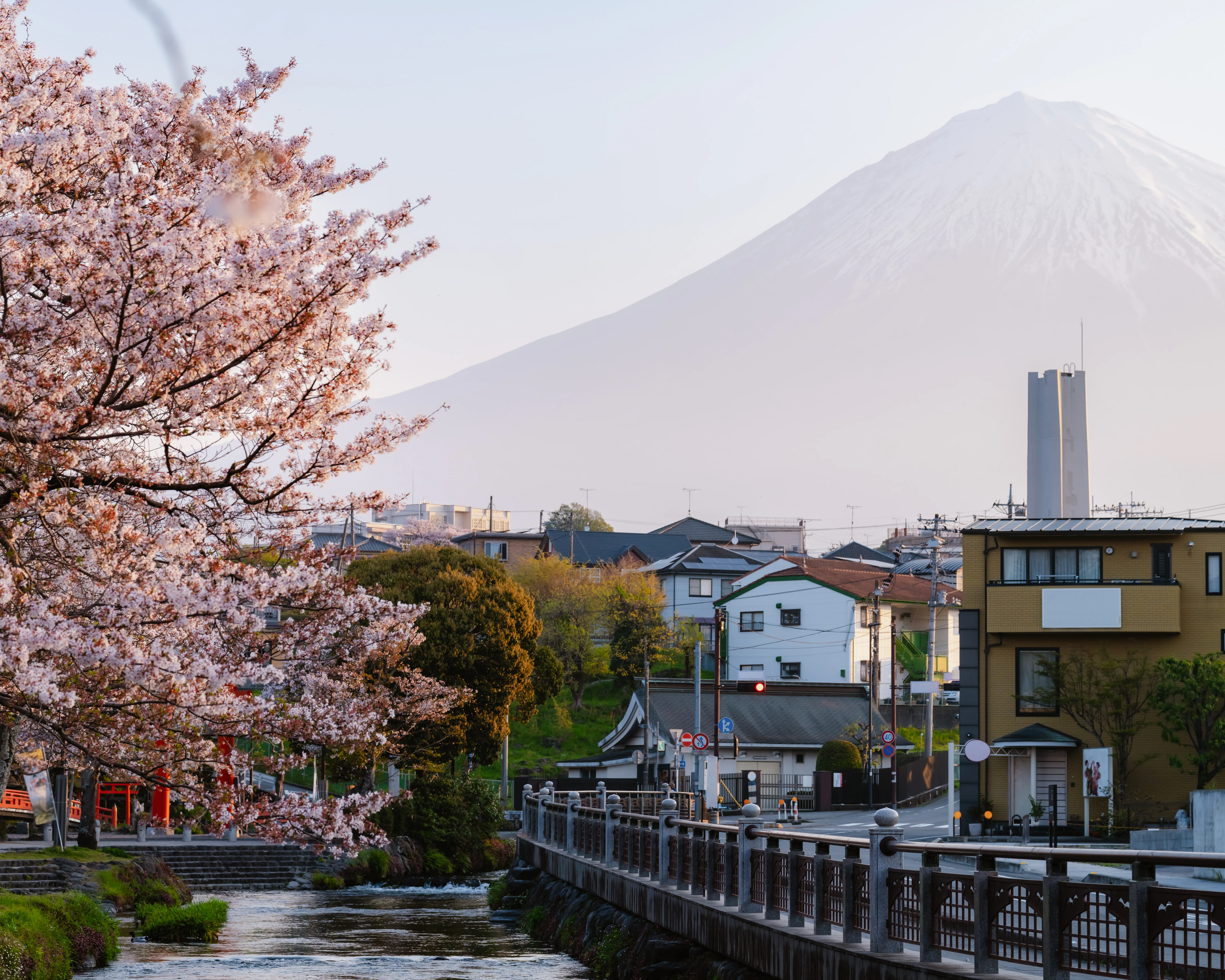 Mount Fuji behind cherry blossoms and a riverside town in Japan during spring.