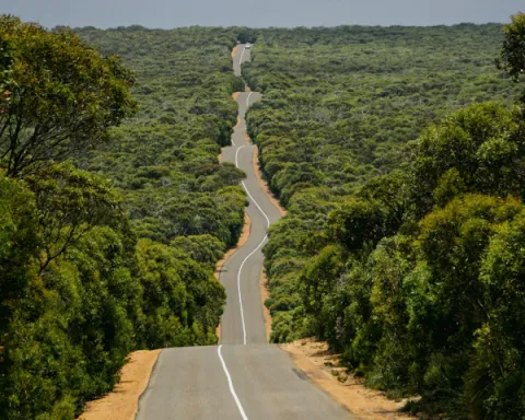 Road trip adventure driving on an Australian road