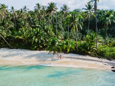 Couple walking along a tropical beach with palm trees and clear turquoise water, representing overseas travel and holiday protection.