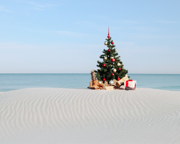 Christmas tree on the beach, Australian summer