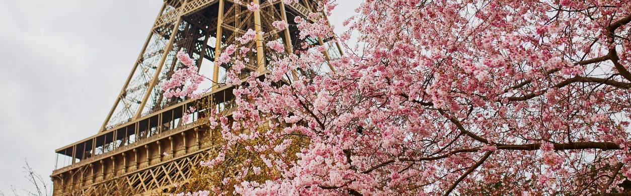 eiffel-tower-paris