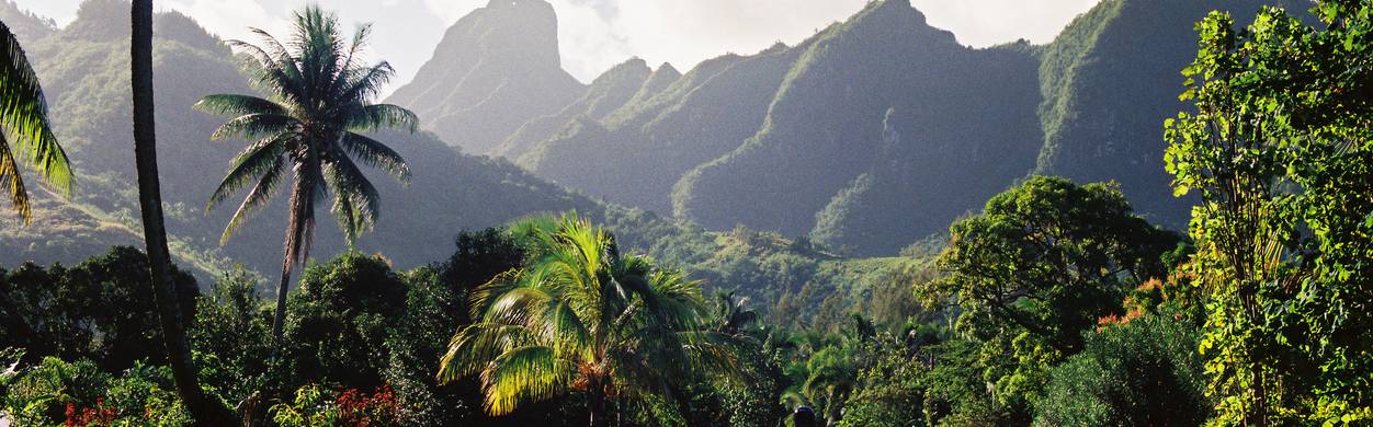 polynesian-road-hawaiian-islands