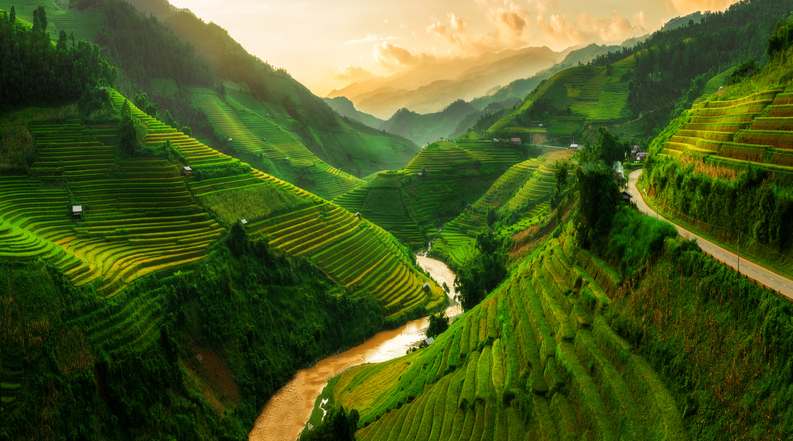 terraced-rice-field