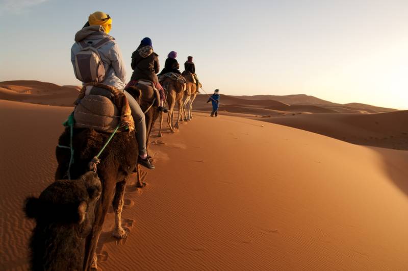 tourists on train of camels